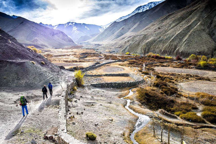 ladakh trekking tours